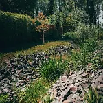 Fuzliget Surf Garden *