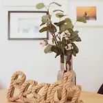 Appartamento Fuzliget Surf Garden