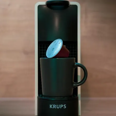 Fuzliget Surf Garden *