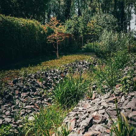 Fuzliget Surf Garden *