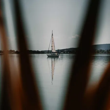 Fuzliget Surf Garden