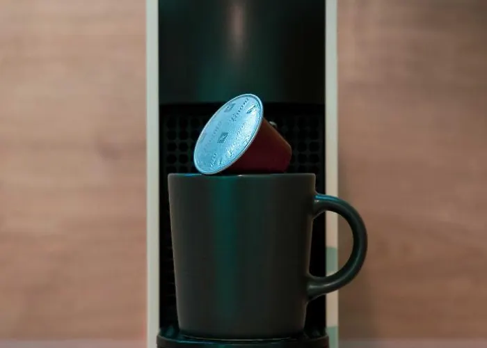 Fuzliget Surf Garden *