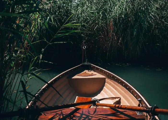 Fuzliget Surf Garden *